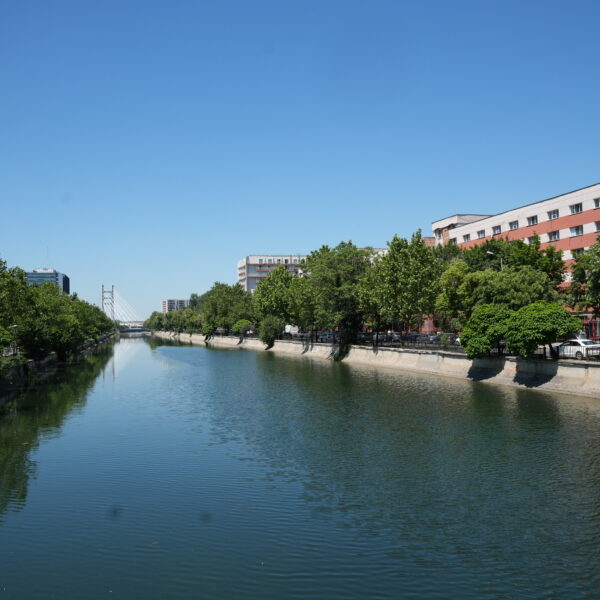 City canal flanked by trees with calm water reflecting the blue sky and distant bridge, red-brick buildings on the right edge.